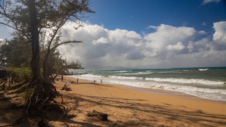 Lower Paia Park