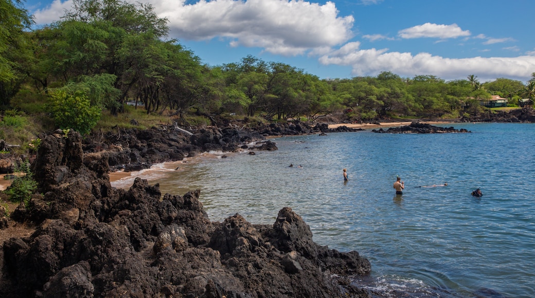 Makena Landing Park showing general coastal views and snorkeling as well as a small group of people