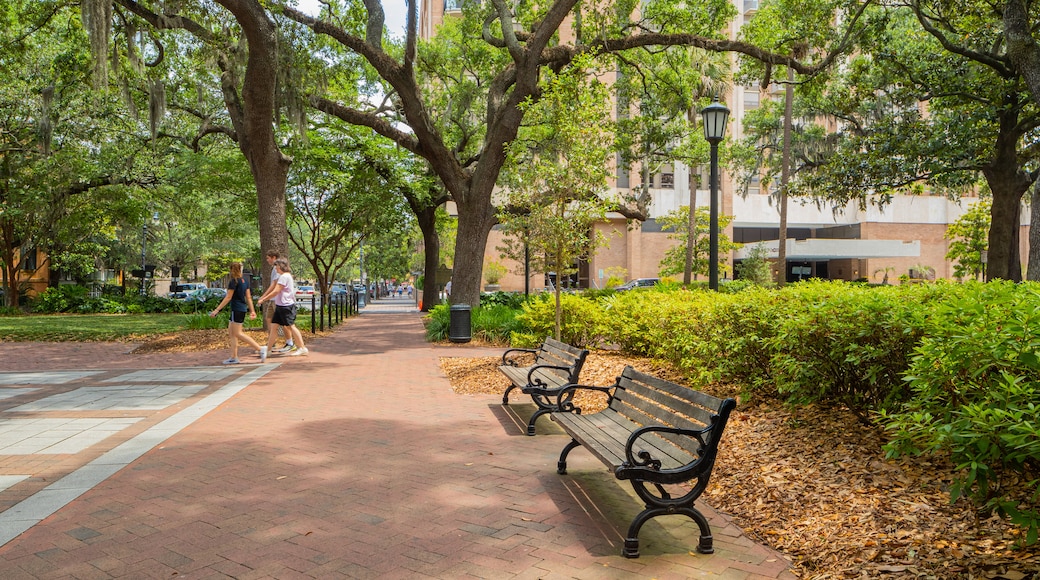 Madison Square which includes a park as well as a small group of people