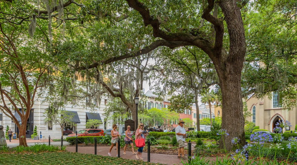 Madison Square featuring a park as well as a small group of people