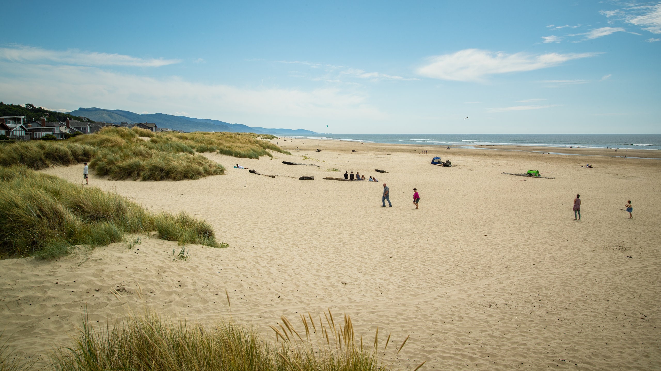 Manzanita