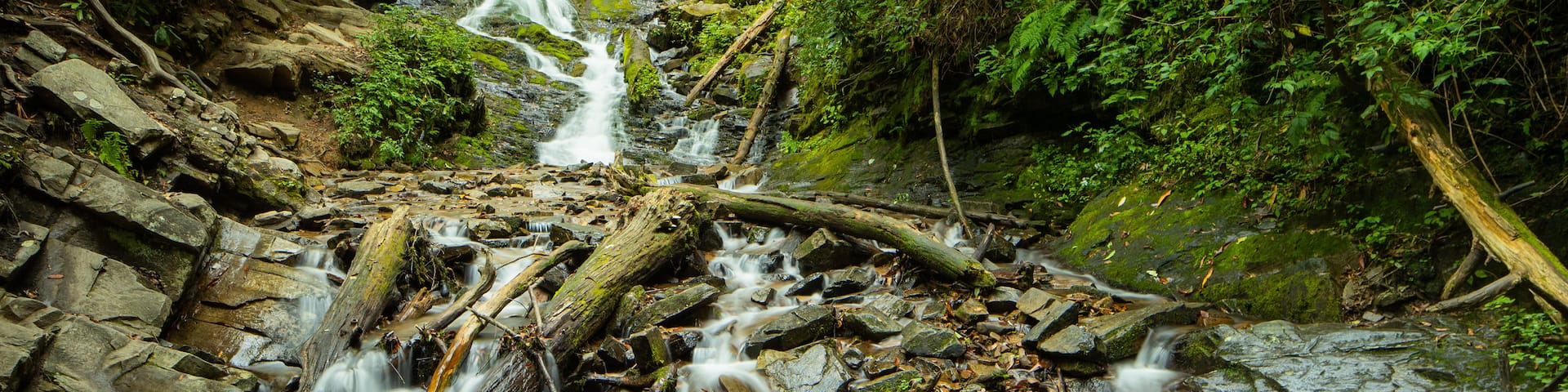Mingo Falls which includes a river or creek and a cascade