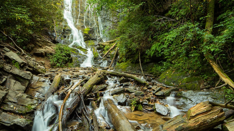 Cascada Mingo