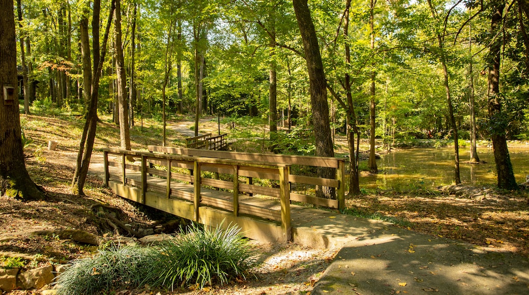 Museum of Arts and Sciences showing a bridge and a garden