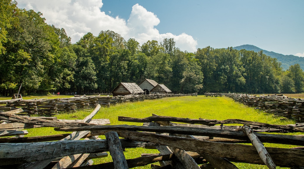 Mountain Farm Museum