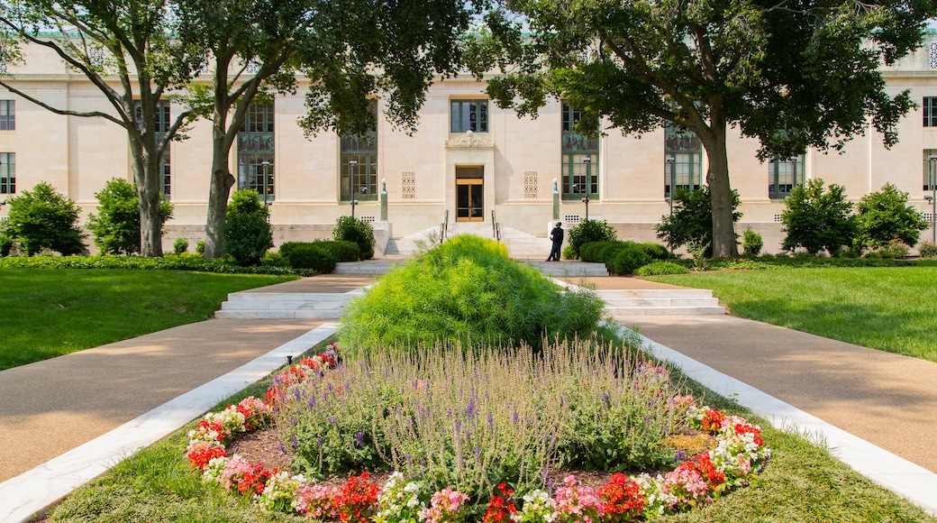 National Academy of Sciences