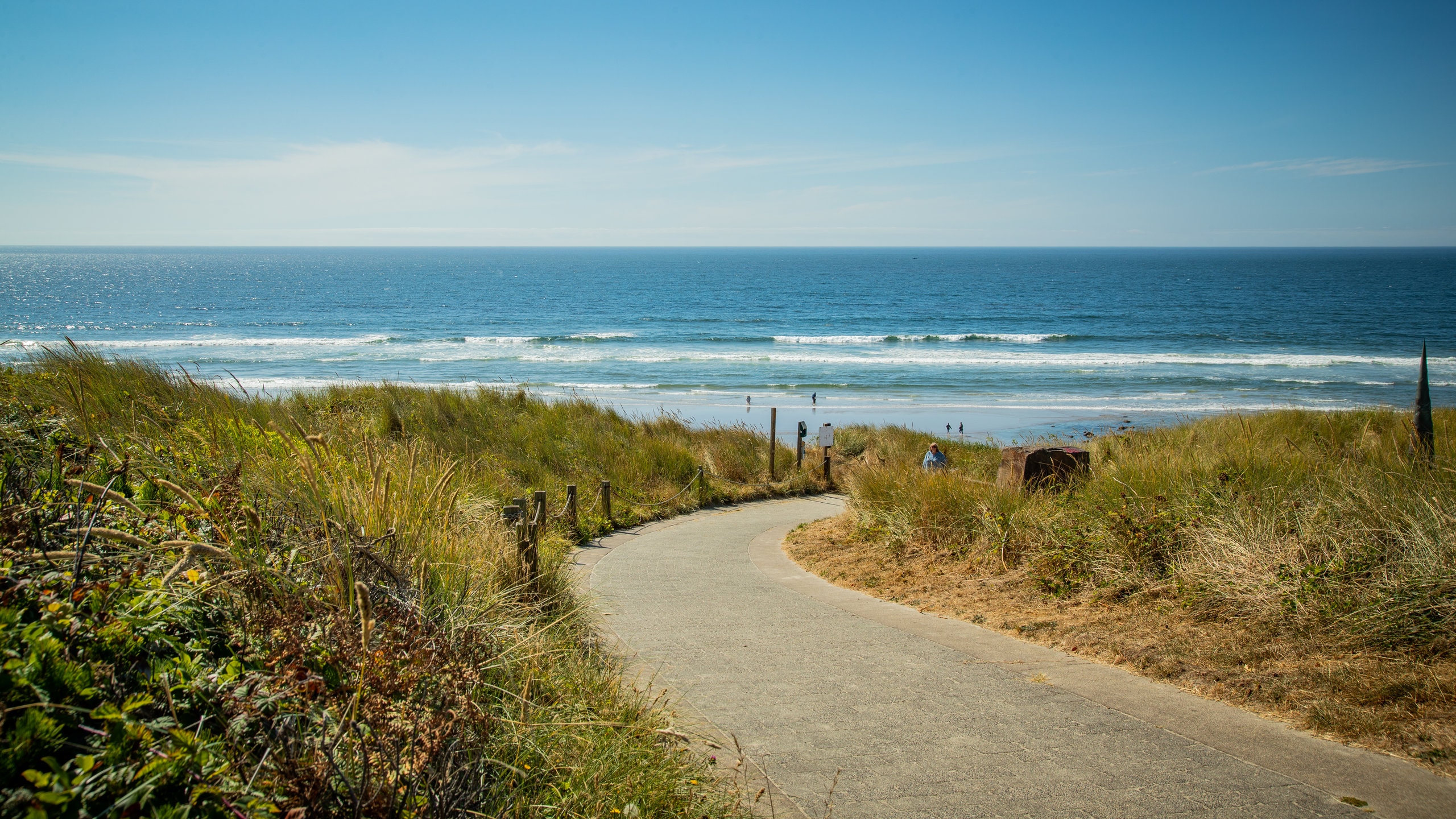 Newport featuring general coastal views