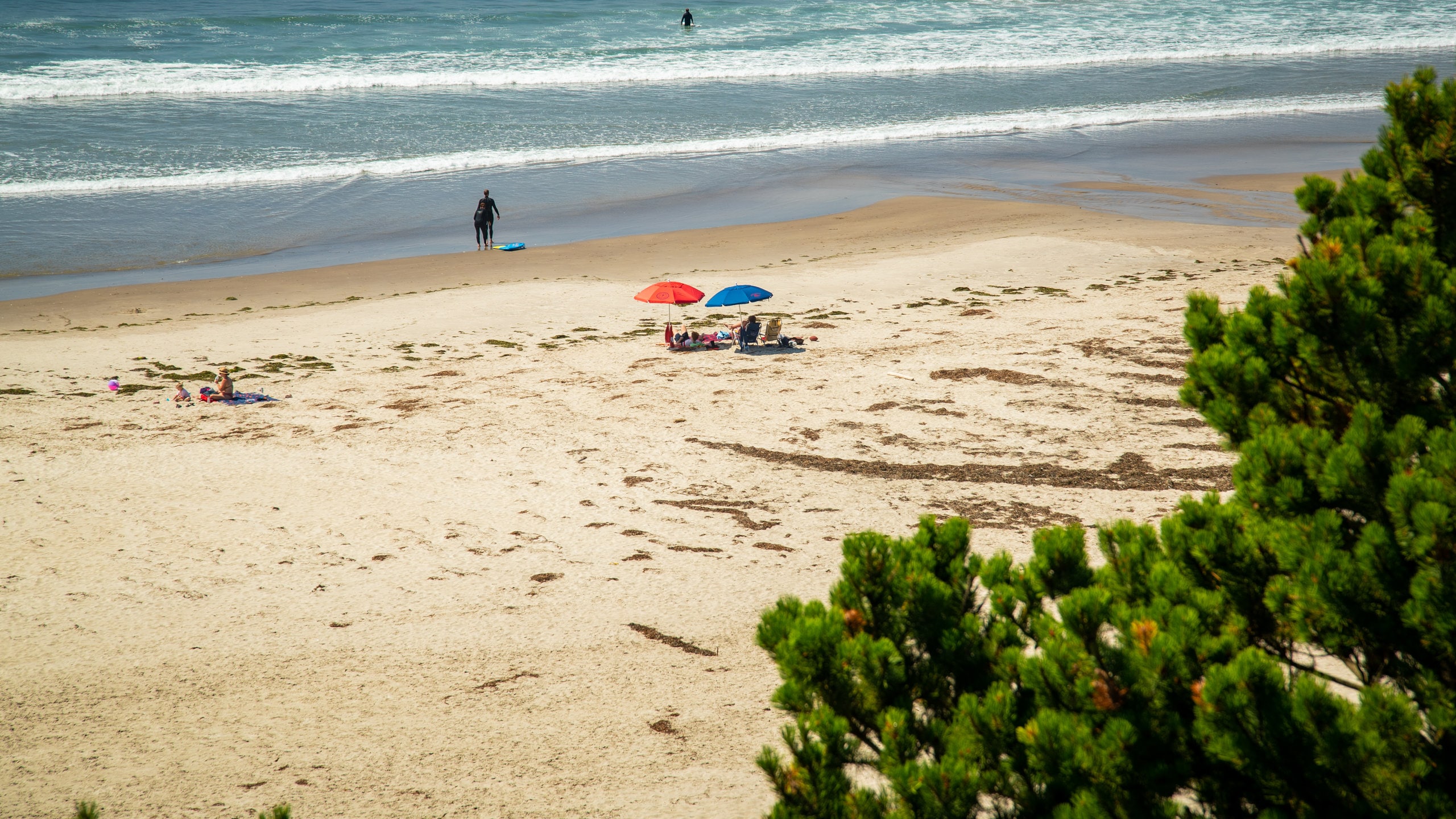 <h2>Los mejores lugares para hospedarse cerca de la playa</h2> 
