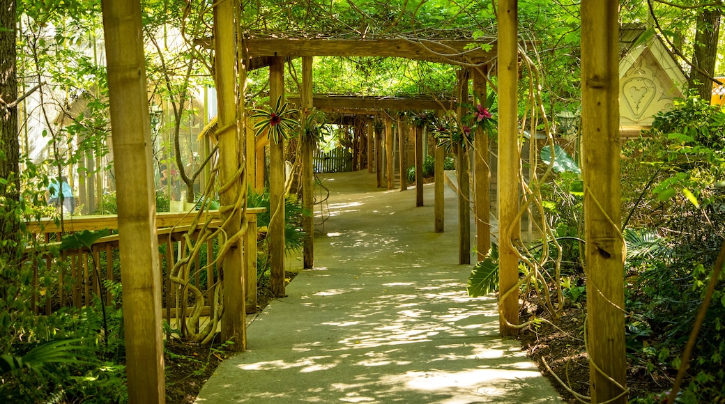 鸚鵡山及花園