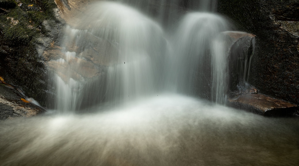 Raven Cliffs Falls