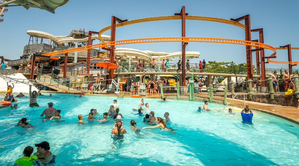 Raging Waters showing a waterpark and swimming as well as a large group of people