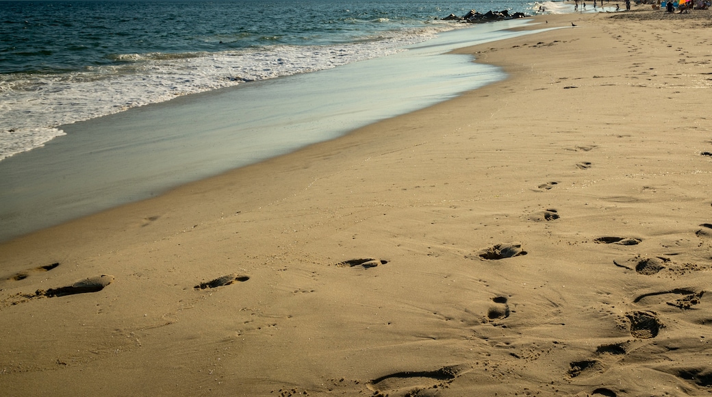 Poverty Beach featuring a sandy beach and general coastal views