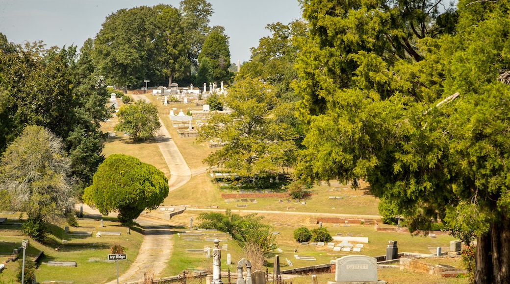 Cementerio de Rose Hill