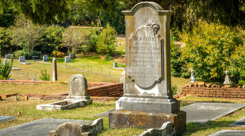 Cementerio de Rose Hill