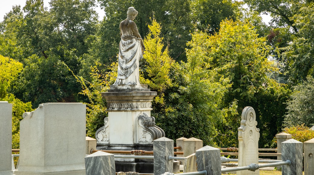 Cementerio de Rose Hill