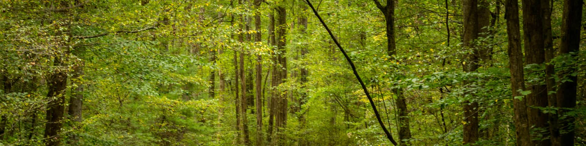 Smithgall Woods State Park