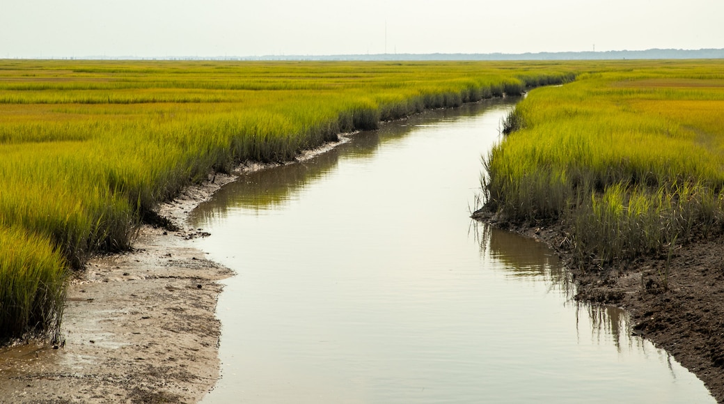 Sea Isle City which includes wetlands