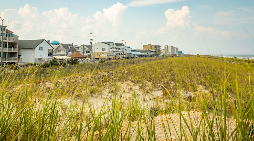 Downtown Sea Isle City