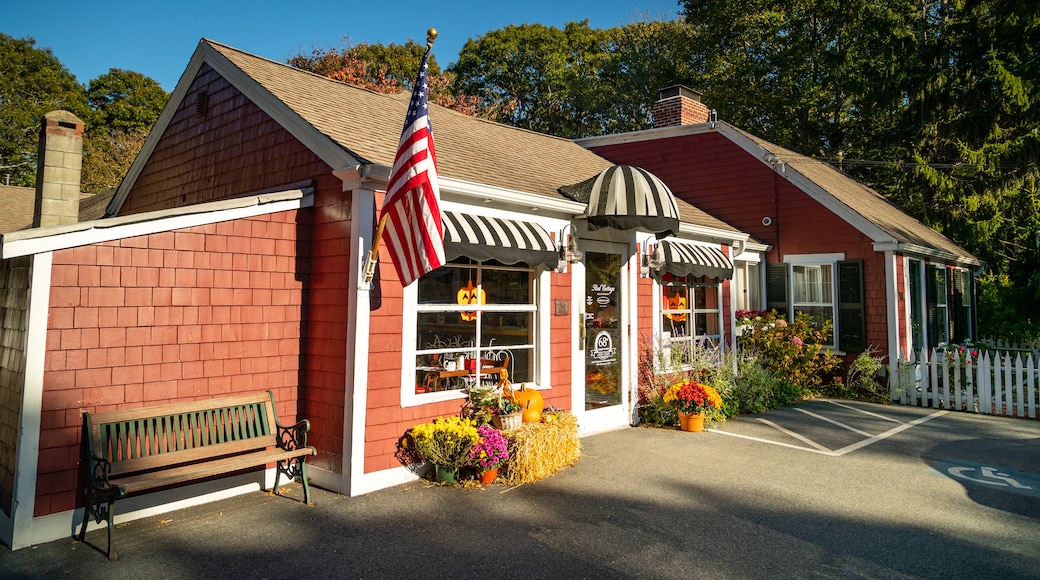 South Dennis