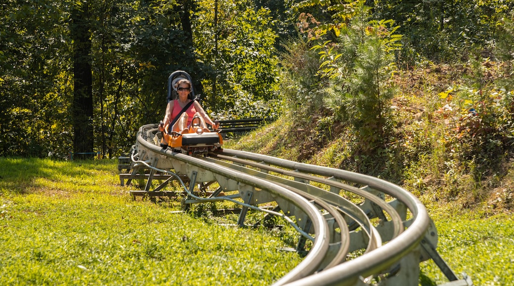 Khu giải trí trượt tuyết lòng máng Smoky Mountain