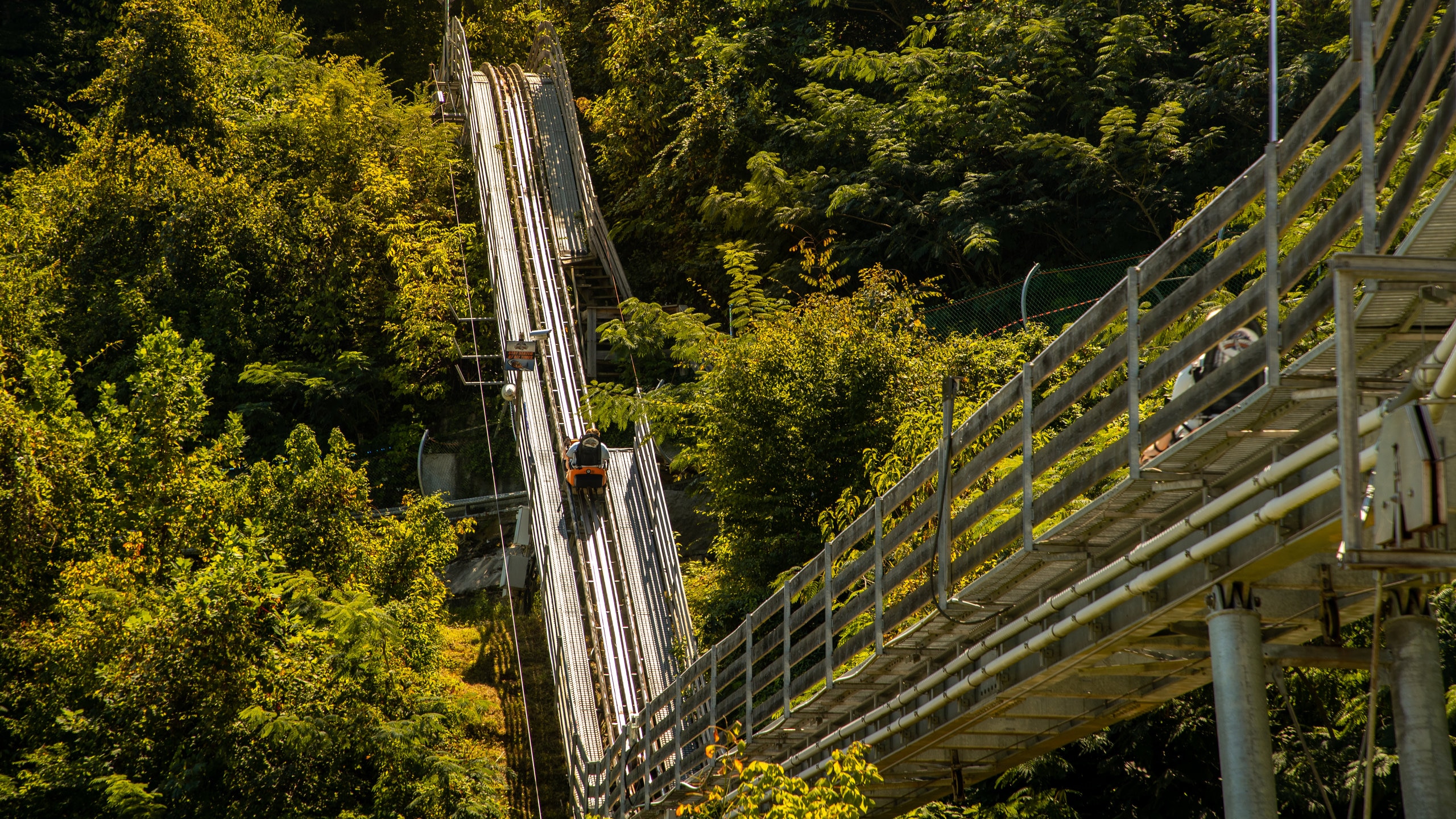 Smoky Mountain Alpine Coaster - Pigeon Forge, TN