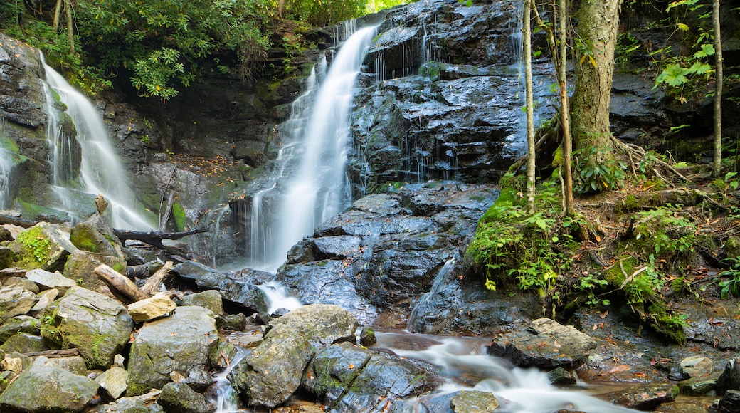 Soco Falls which includes a waterfall