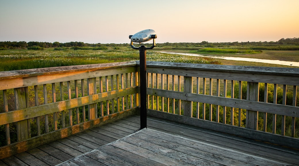 South Cape May Meadows featuring a sunset, tranquil scenes and views