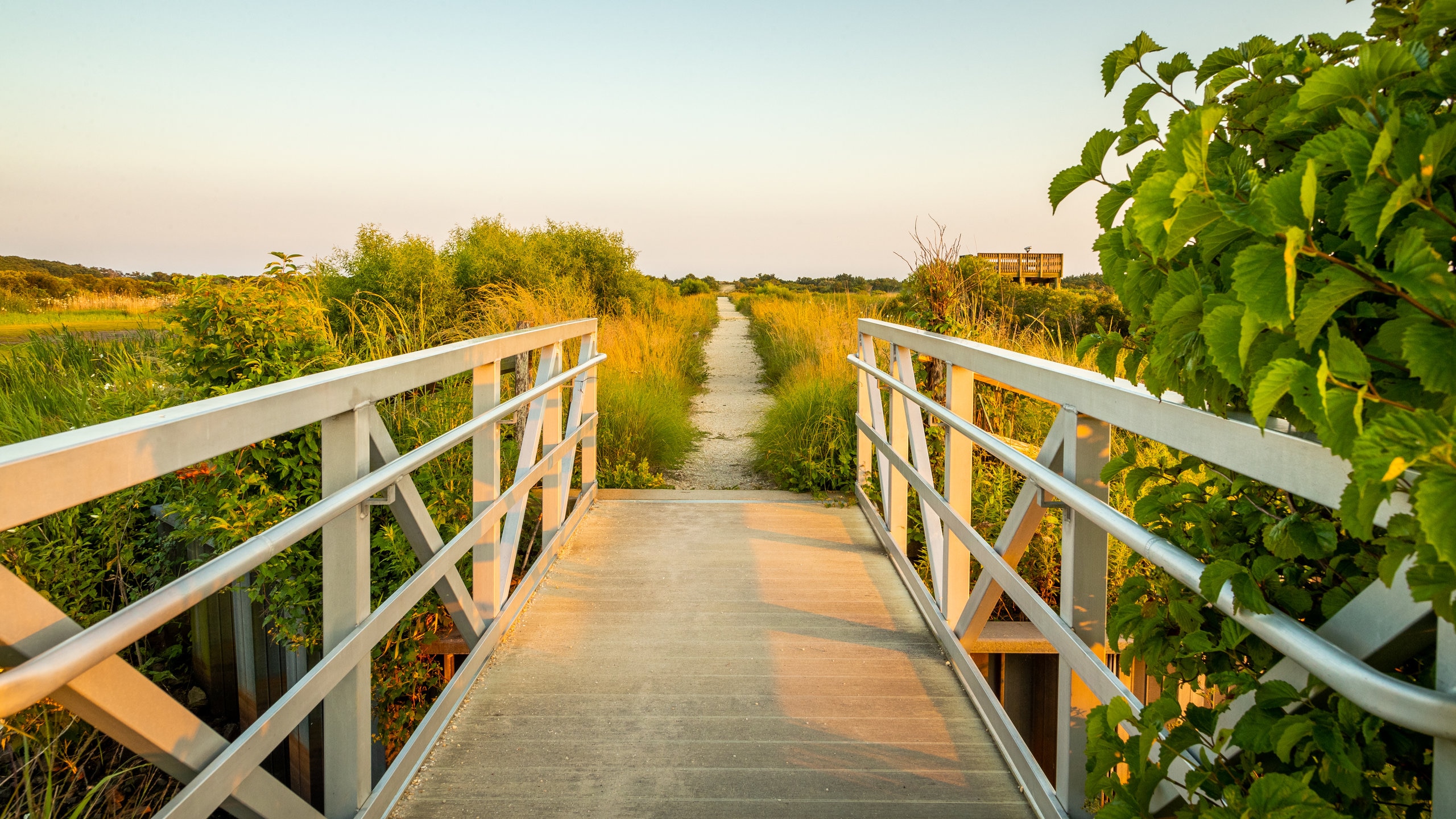 South Cape May Meadows featuring a bridge, a sunset and tranquil scenes