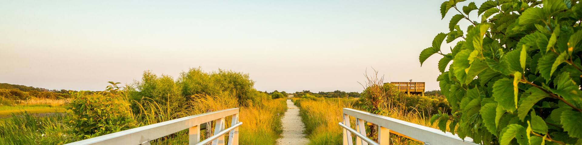 South Cape May Meadows featuring a bridge, a sunset and tranquil scenes