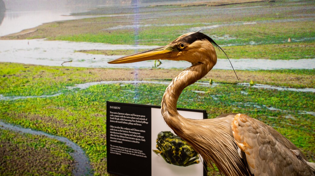 South Slough National Estuarine Research Reserve