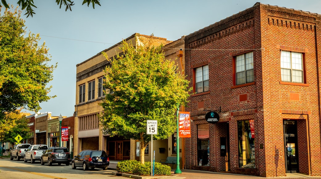 Toccoa