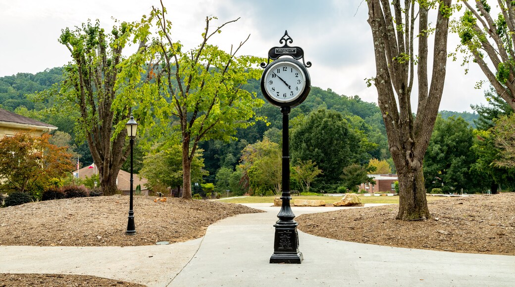 Toccoa Falls College