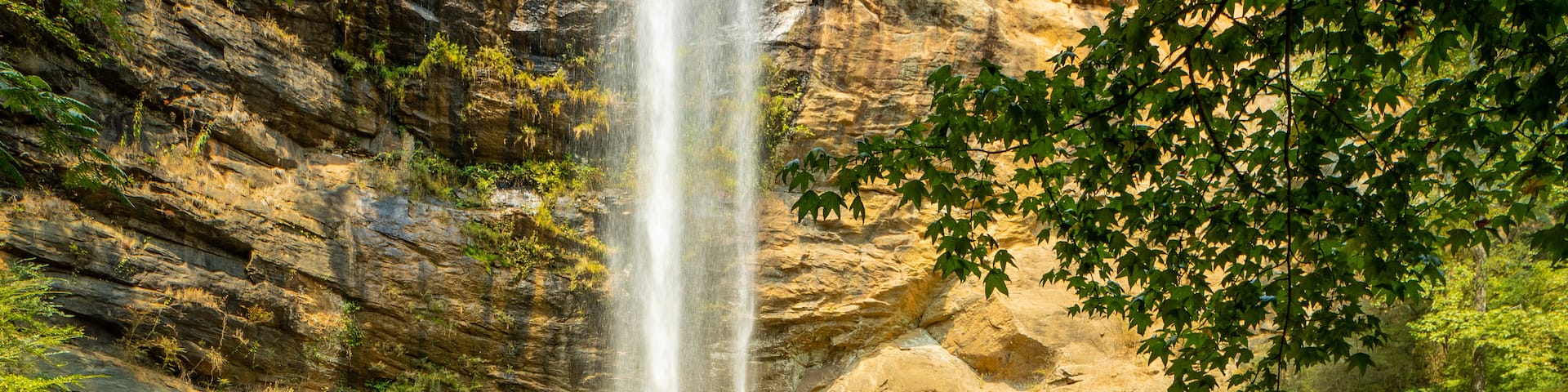 Toccoa Falls which includes religious elements and a waterfall as well as an individual male