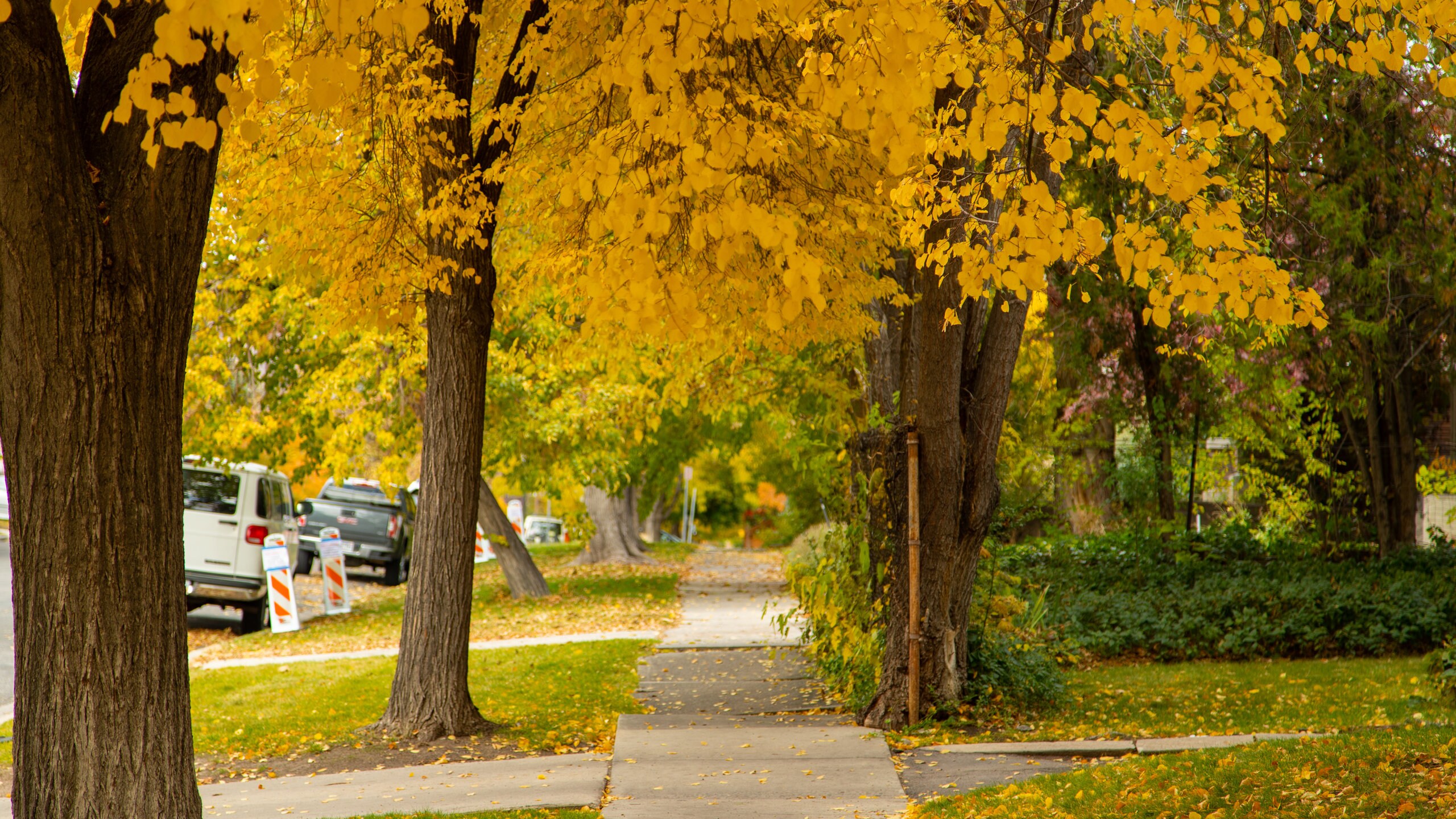 Visit The Avenues Best of The Avenues, Salt Lake City Travel 2023