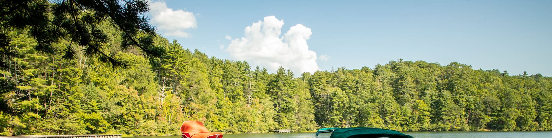 Unicoi State Park showing a bay or harbor