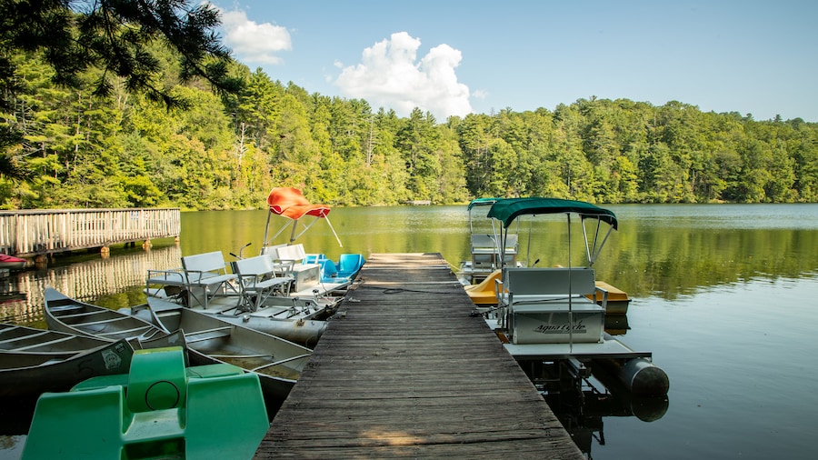 Unicoi State Park showing a bay or harbor