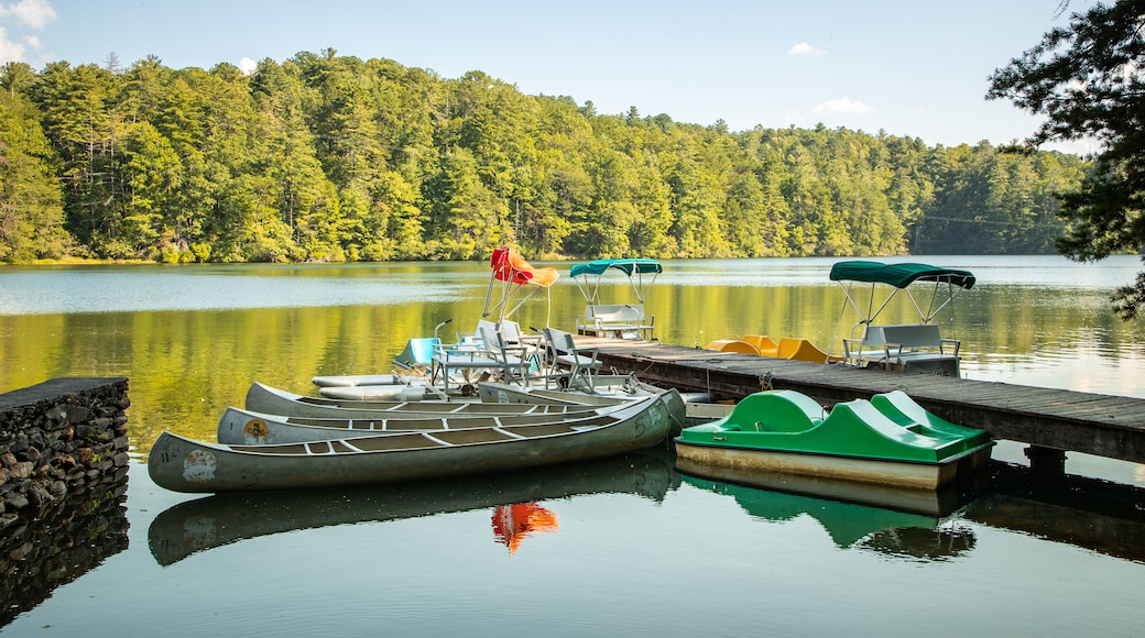 Unicoi State Park which includes a bay or harbor