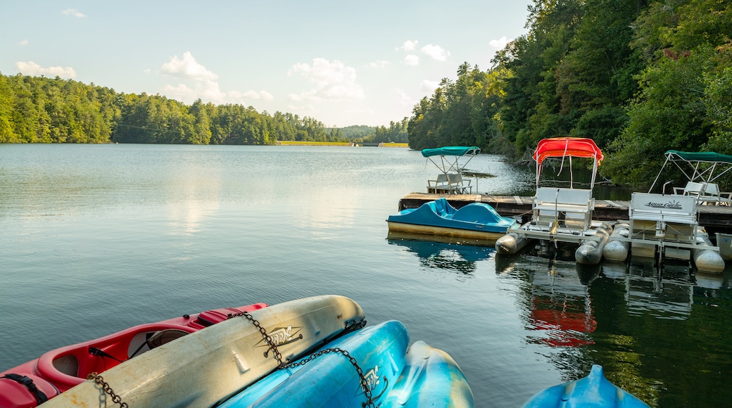 Unicoi State Park showing a bay or harbor