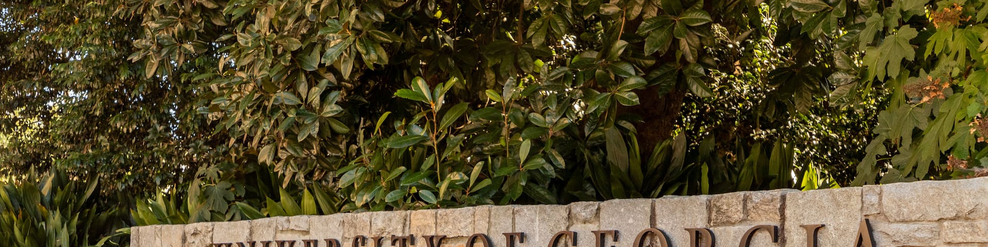 University of Georgia