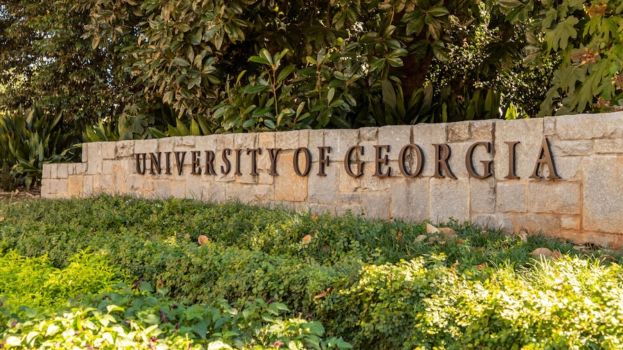 Universidad de Georgia