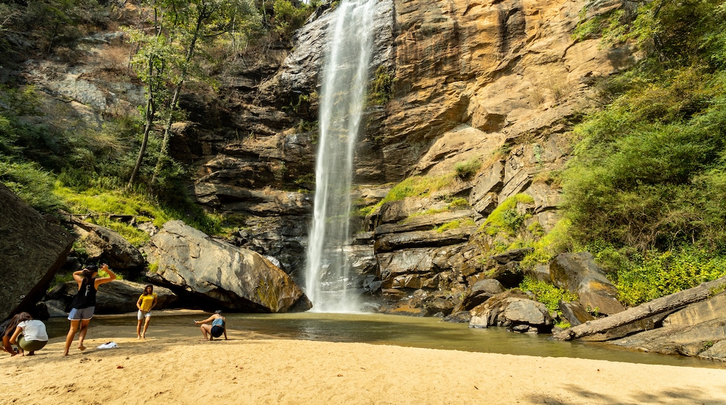 Chutes de Toccoa