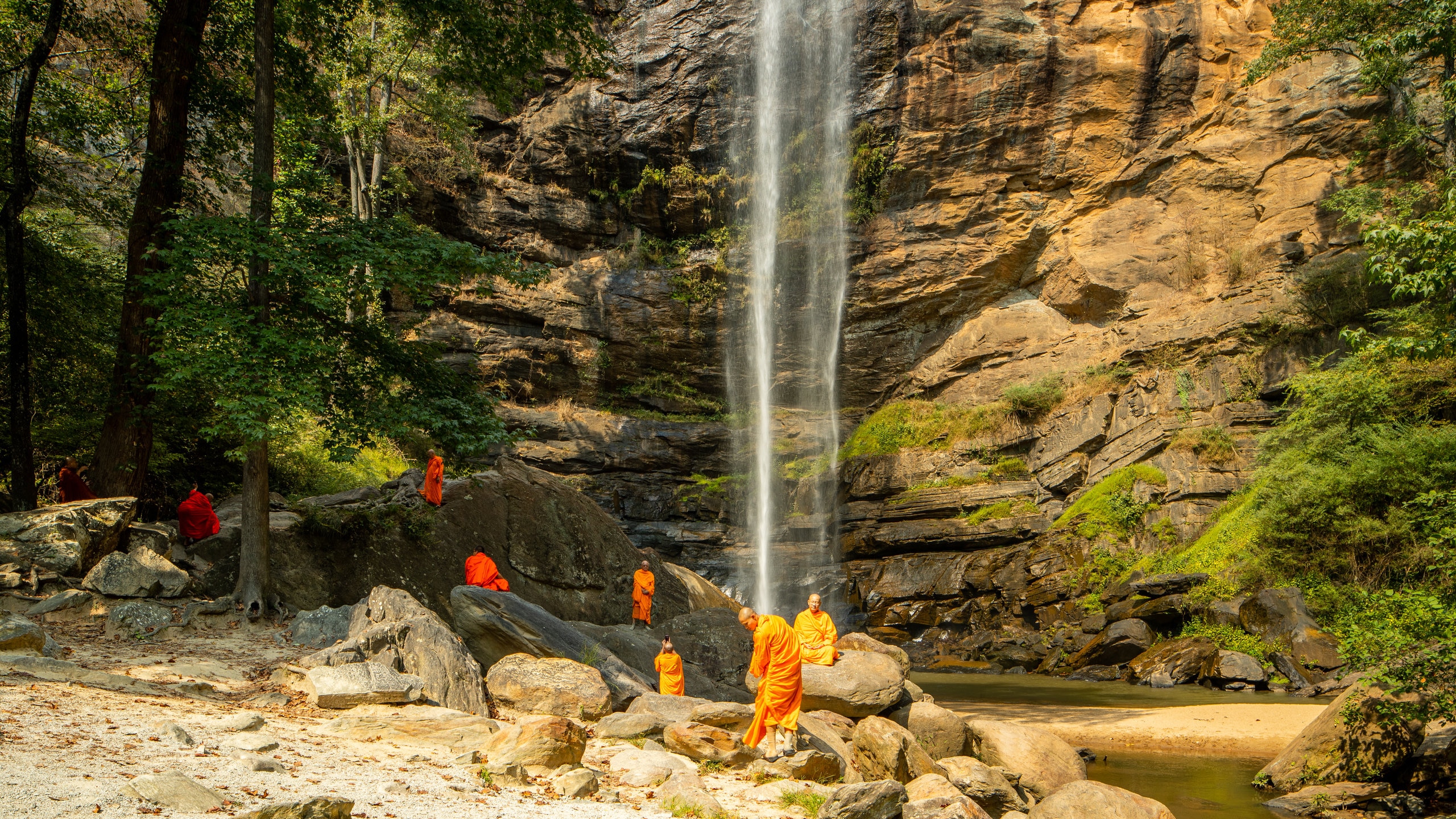 Toccoa Falls College in Toccoa - Tours and Activities | Expedia