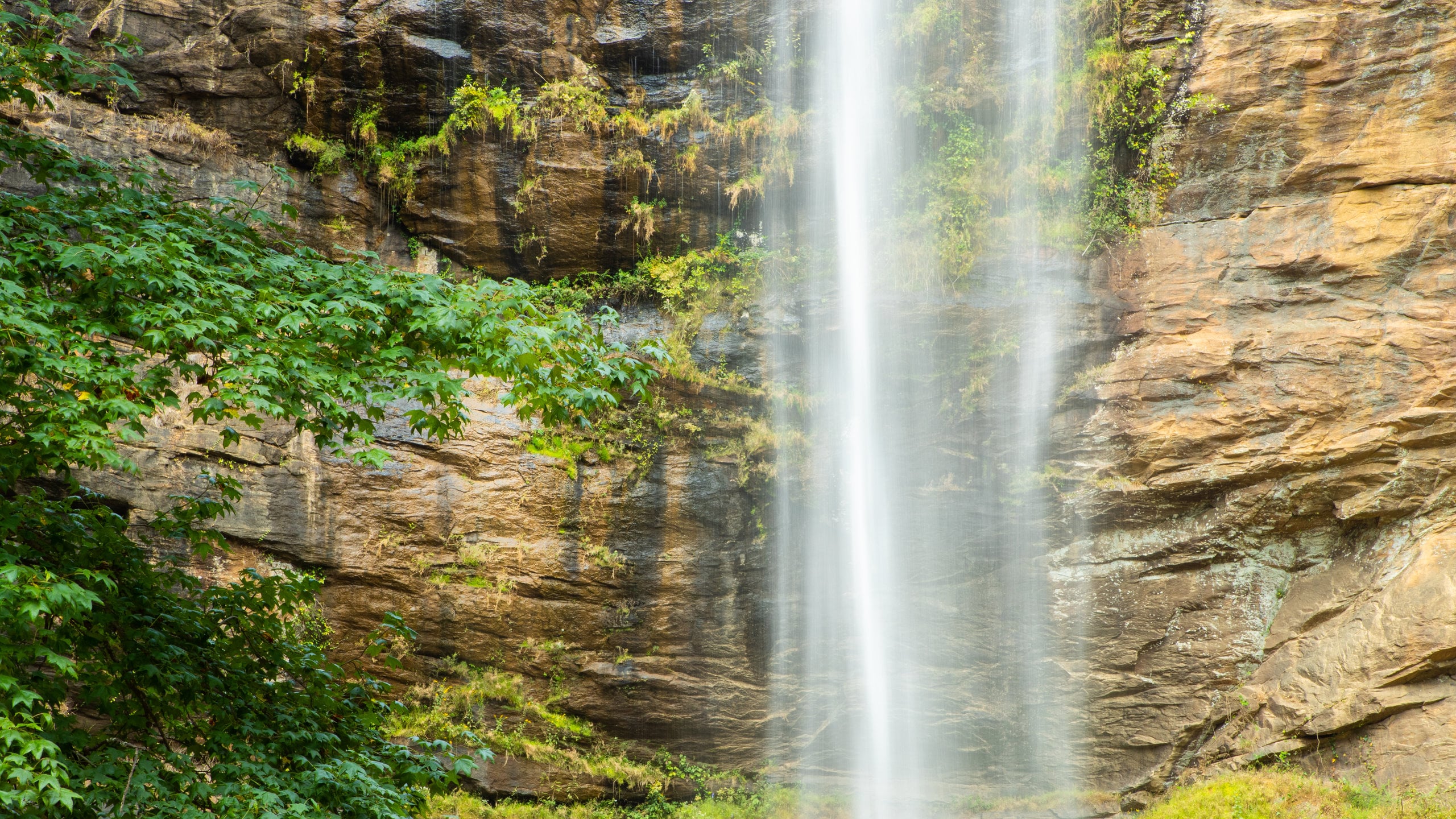 Toccoa Falls Tours Book Now Expedia