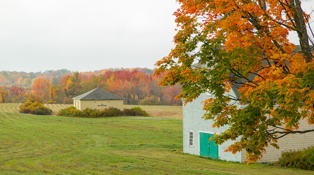 Wells Reserve at Laudholm Farms