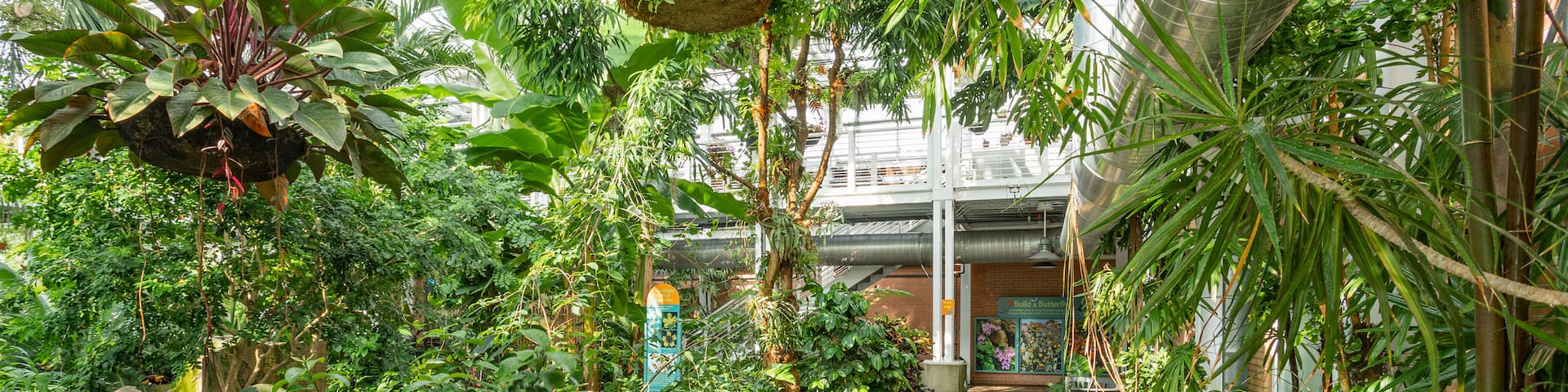 White River Gardens featuring a garden