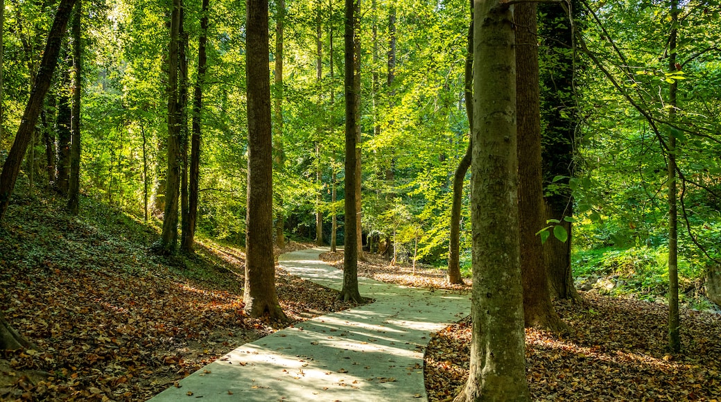 Wilshire Trails Park showing a garden