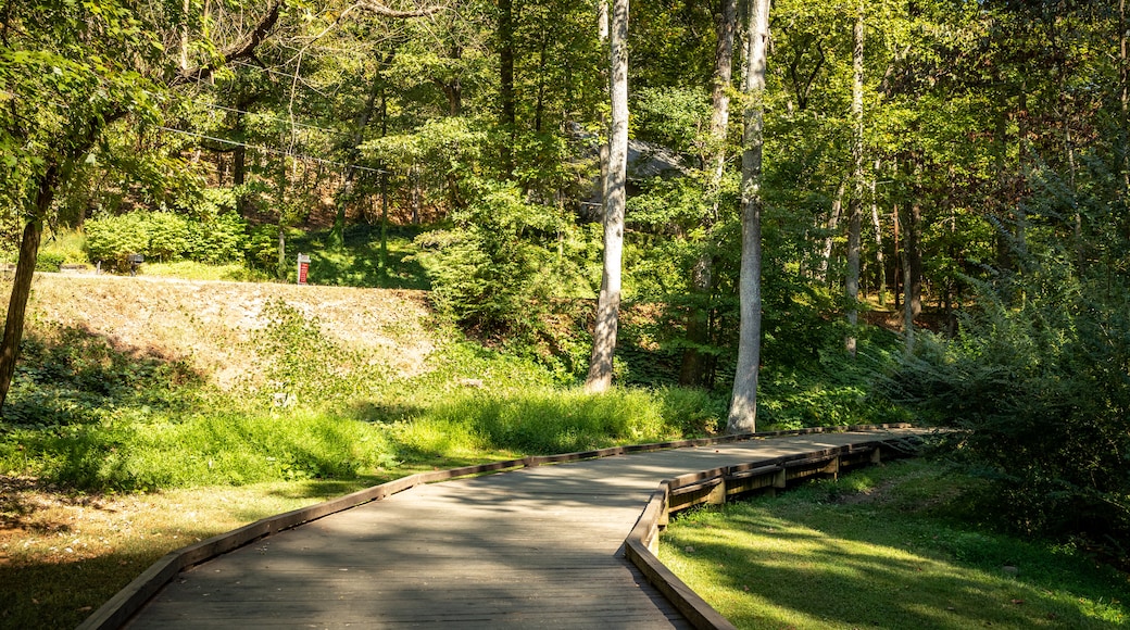 Wilshire Trails Park showing a park