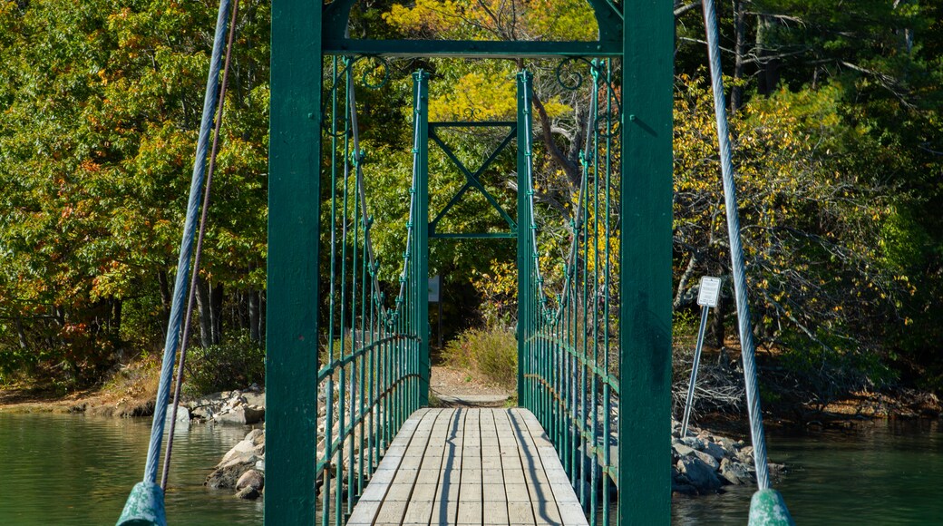 Wiggly Bridge and Steedman Woods