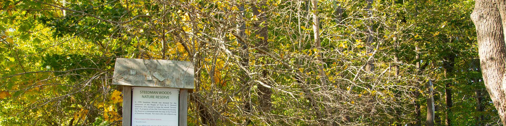Wiggly Bridge and Steedman Woods