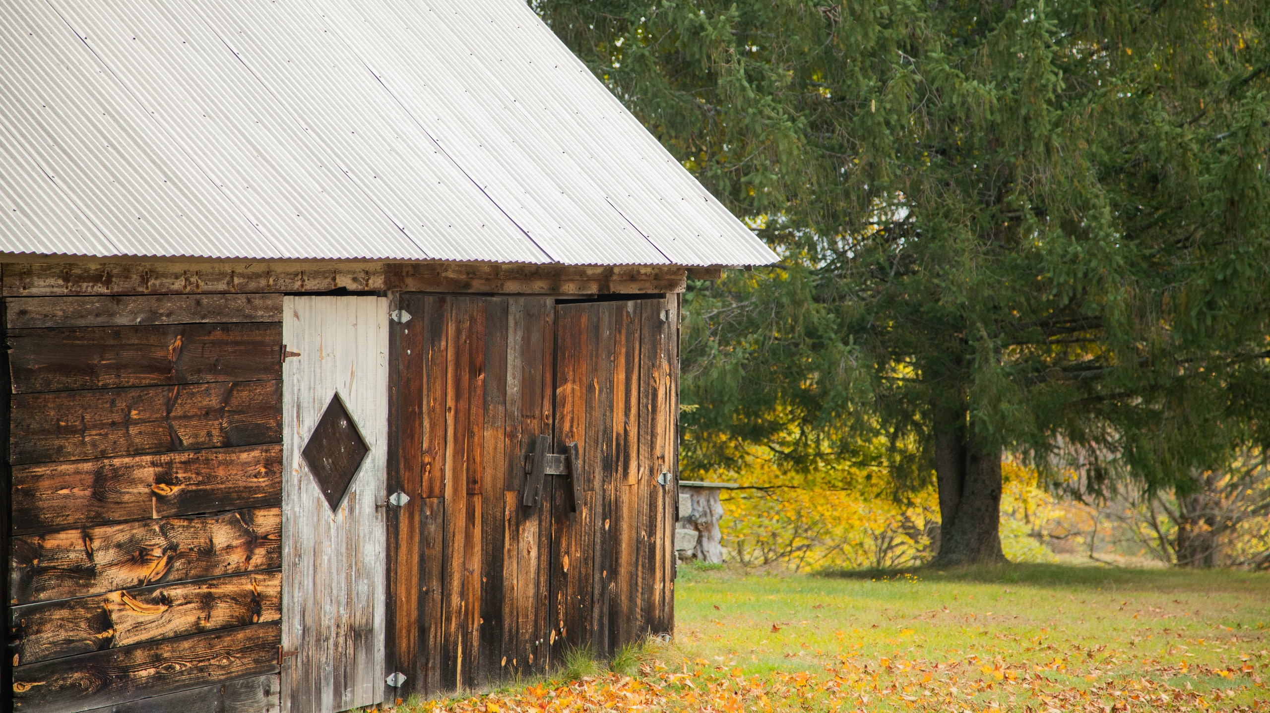 Where to Stay in Windham Best neighborhoods Expedia